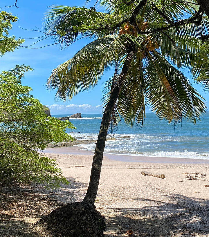 Playa Pelada Nosara Guanacaste